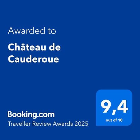 Chateau De Cauderoue Nérac Dış mekan fotoğraf