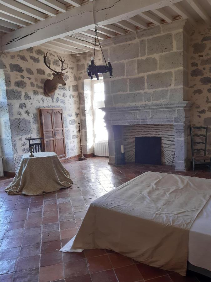 Chateau De Cauderoue Nérac Dış mekan fotoğraf